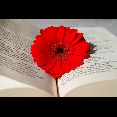 雲仙市で髪の増毛をお考えなら